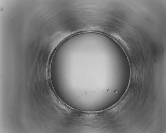 X0000086891278200704231119