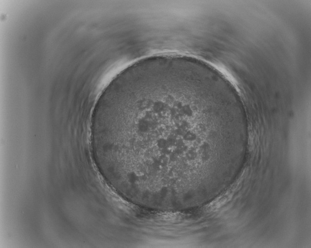 X0000086891279200704231119