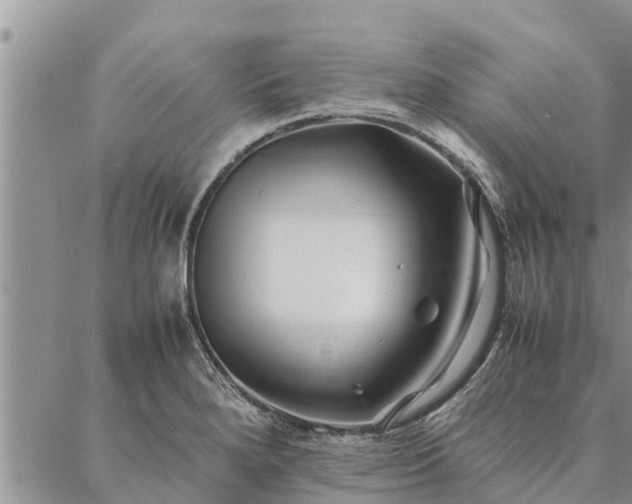 X0000086891280200704231119