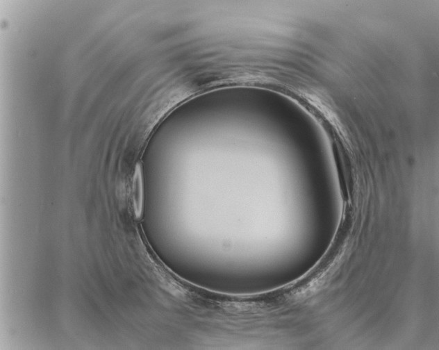 X0000086891281200704231119