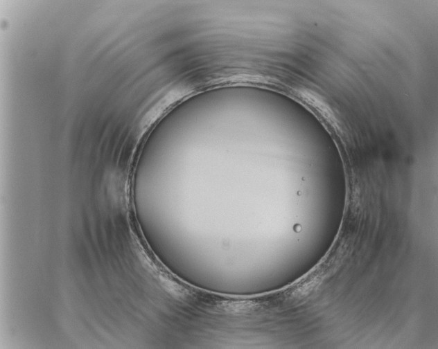 X0000086891282200704231119