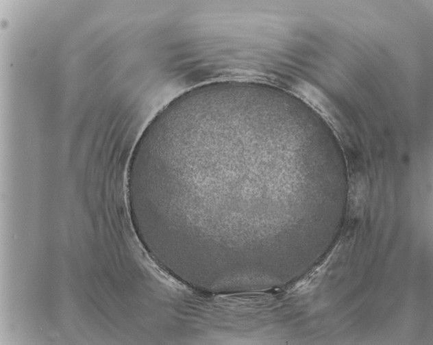 X0000086891283200704231119