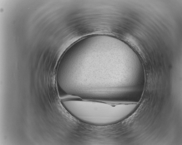 X0000086891284200704231119