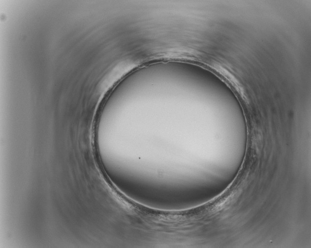 X0000086891285200704231119