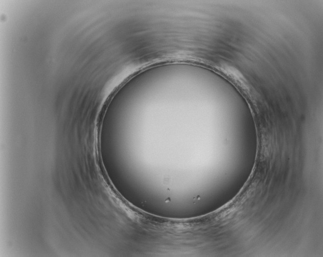 X0000086891286200704231119