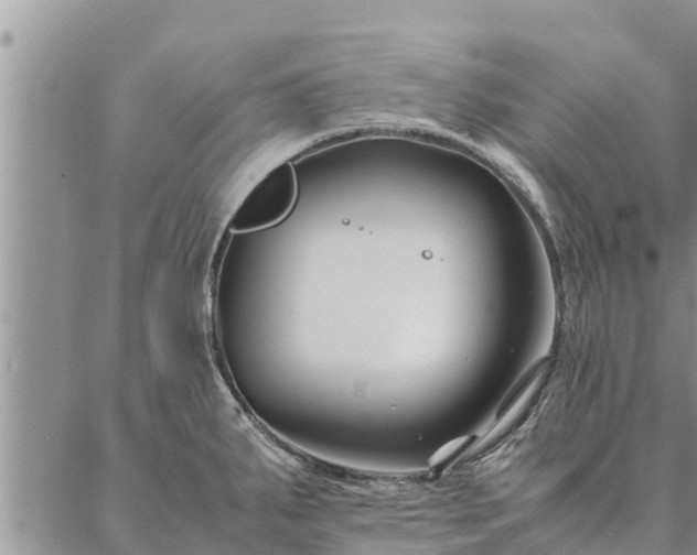 X0000086891287200704231119