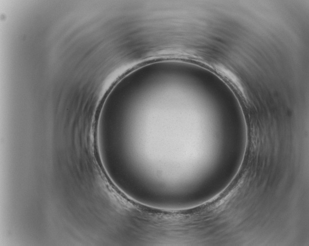 X0000086891288200704231119