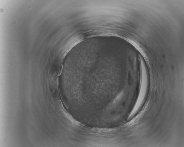 X0000086891289200704231119