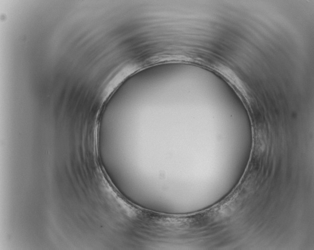 X0000086891290200704231119