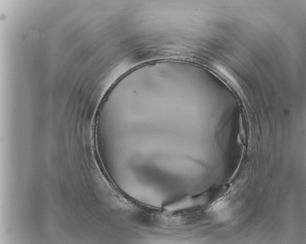 X0000086891291200704231118