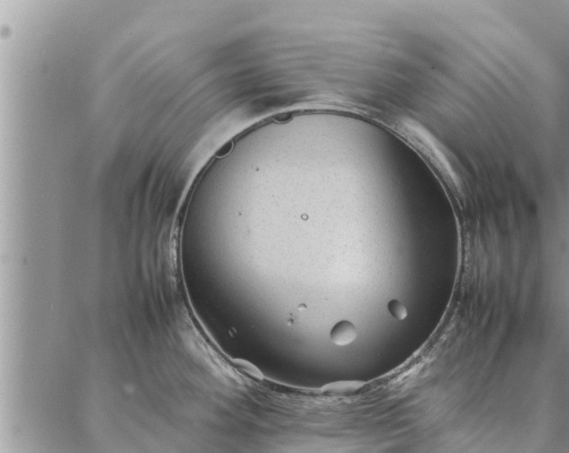 X0000086891292200704231118