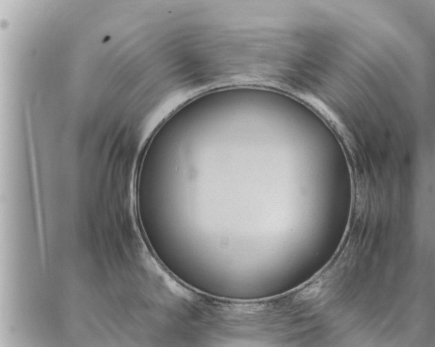 X0000086891294200704231118