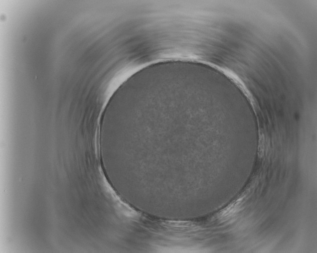 X0000086891295200704231118