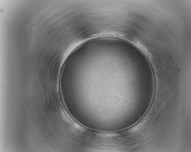 X0000086891296200704231118