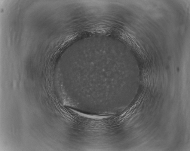 X0000086891297200704231118