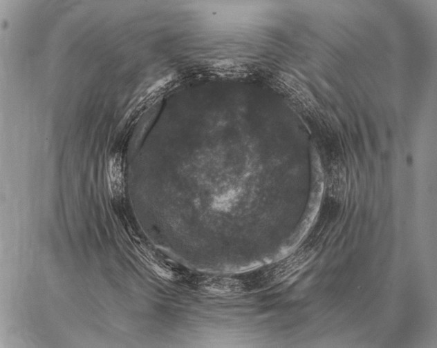 X0000086891298200704231118