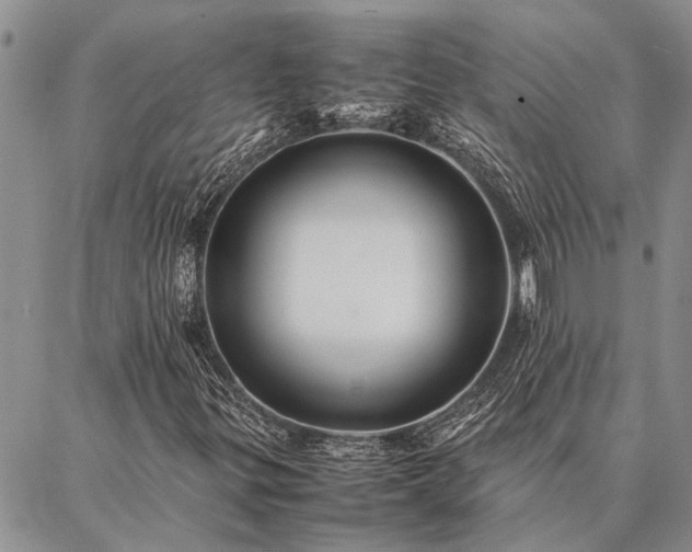 X0000086891299200704231118