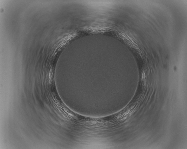 X0000086891300200704231118