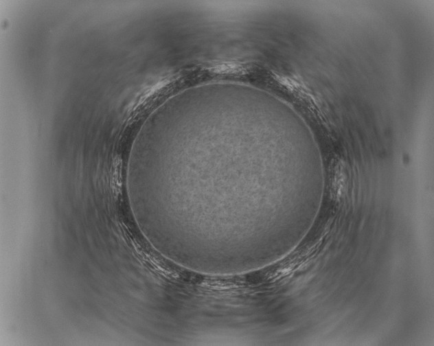 X0000086891301200704231118