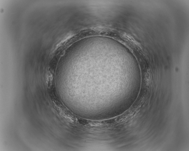 X0000086891302200704231118