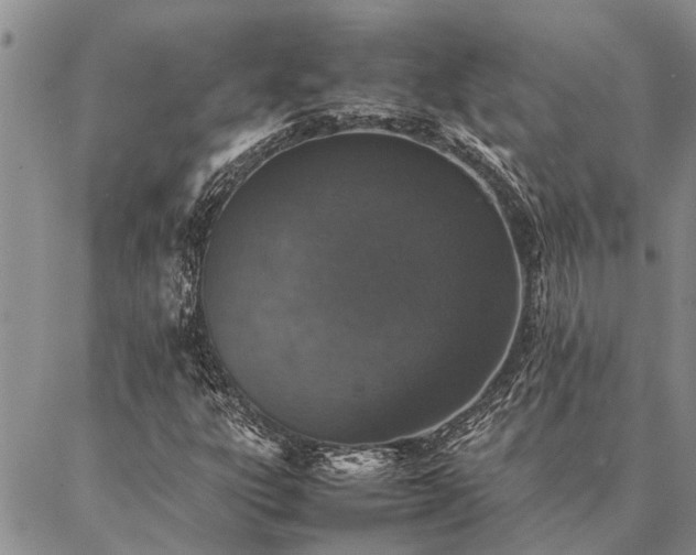 X0000086891303200704231118