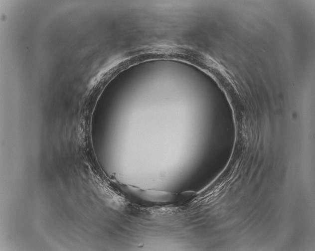 X0000086891304200704231118