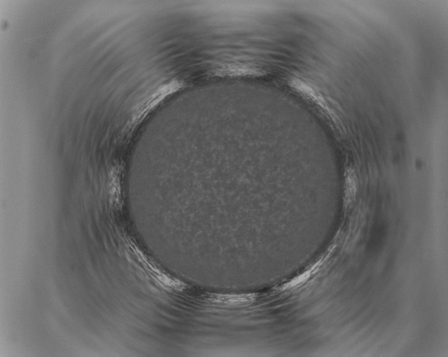 X0000086891305200704231118