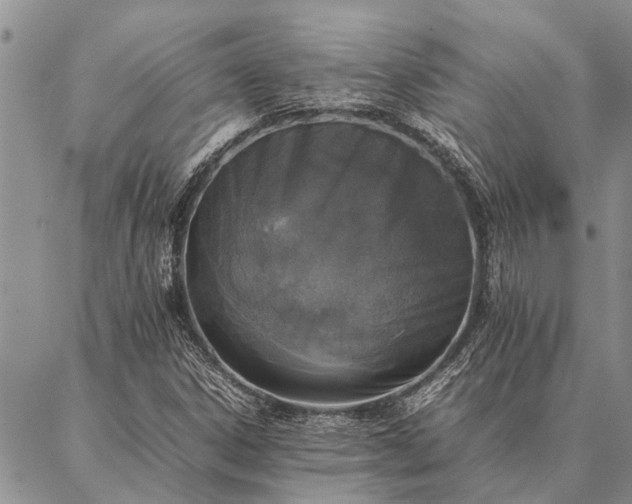 X0000086891306200704231118