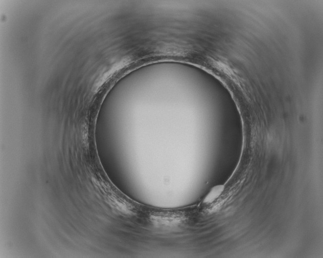 X0000086891307200704231118