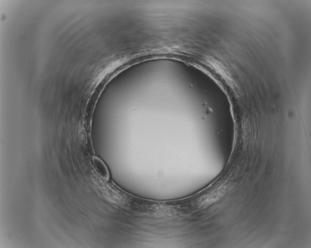 X0000086891308200704231118