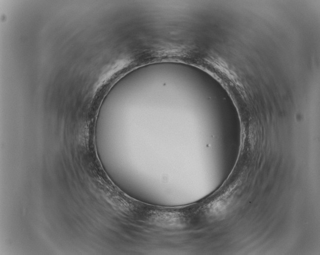 X0000086891309200704231118