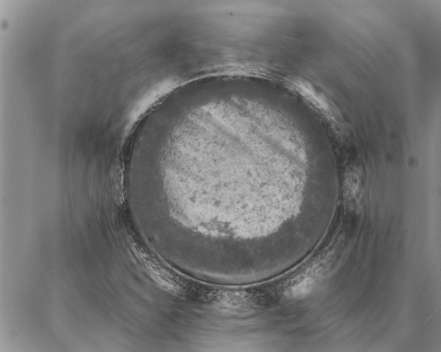 X0000086891310200704231118