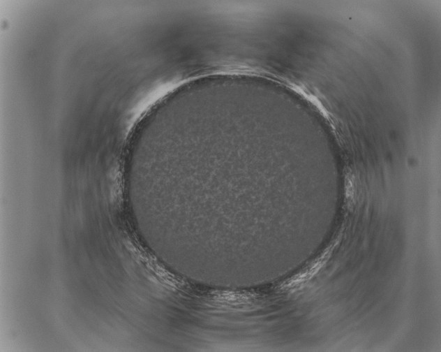 X0000086891311200704231118