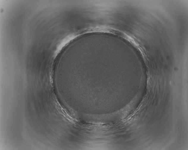 X0000086891312200704231118