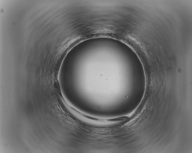 X0000086891313200704231118