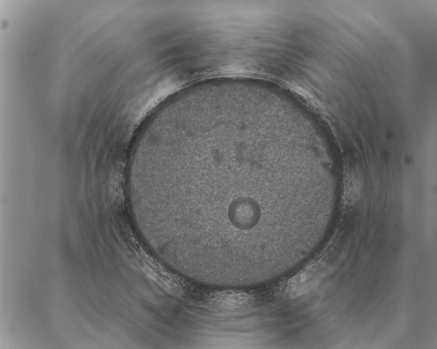 X0000086891314200704231118