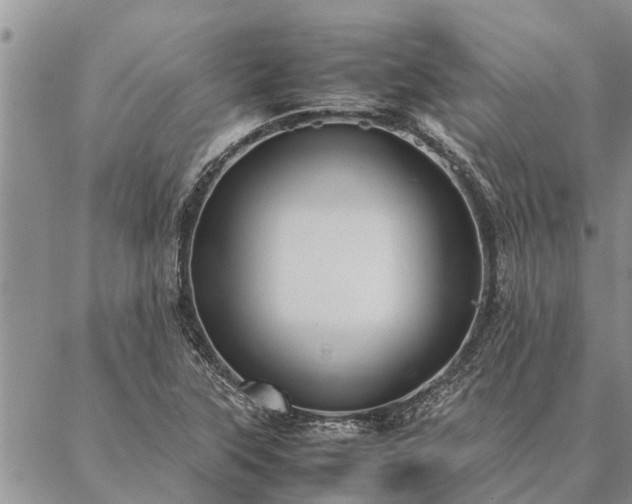 X0000086891315200704231118