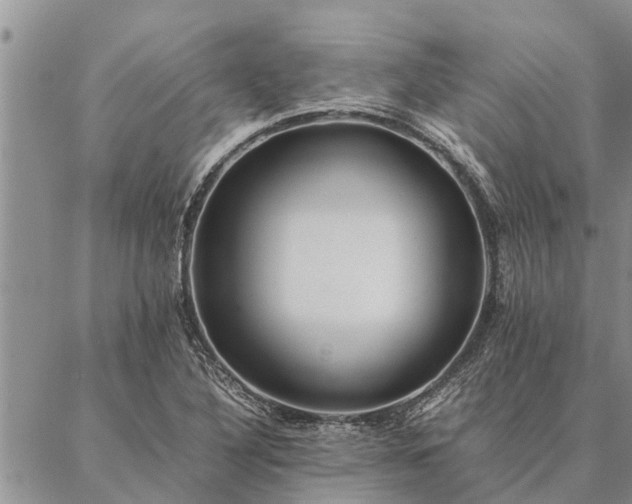 X0000086891316200704231118