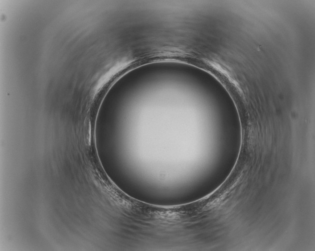 X0000086891317200704231118