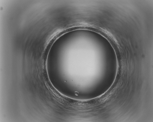 X0000086891318200704231118