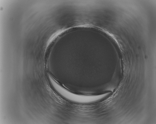 X0000086891319200704231118