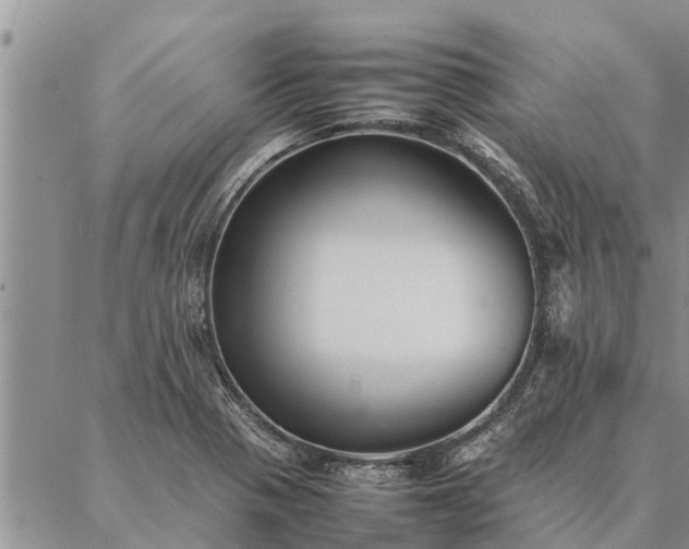 X0000086891321200704231118