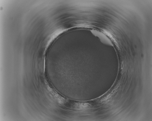 X0000086891323200704231118