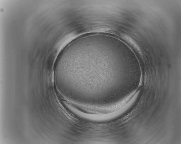 X0000086891324200704231118