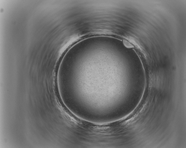 X0000086891325200704231118