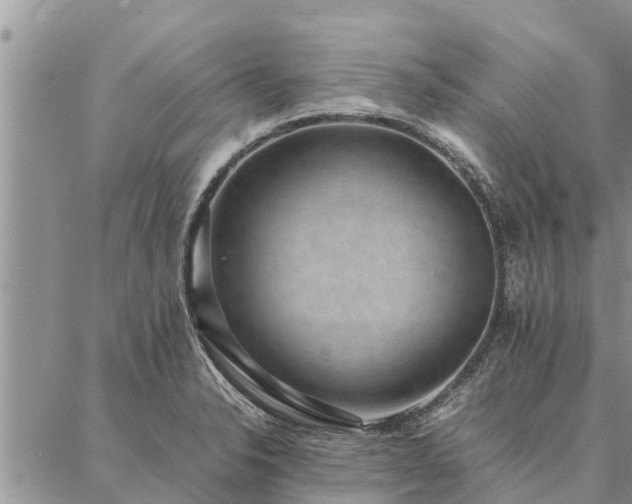 X0000086891326200704231118