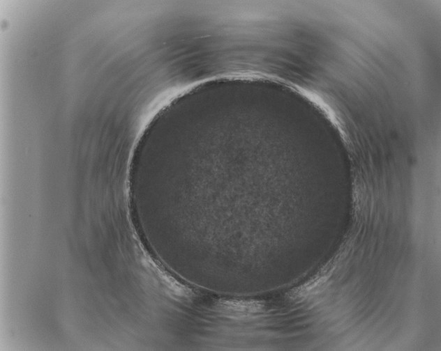 X0000086891327200704231118