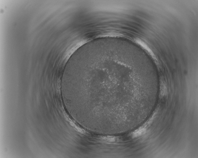 X0000086891329200704231118