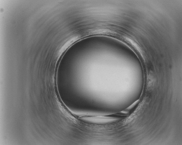 X0000086891330200704231118