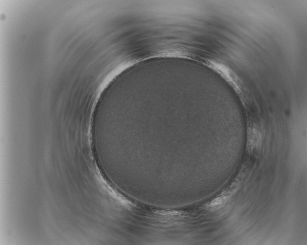 X0000086891331200704231118